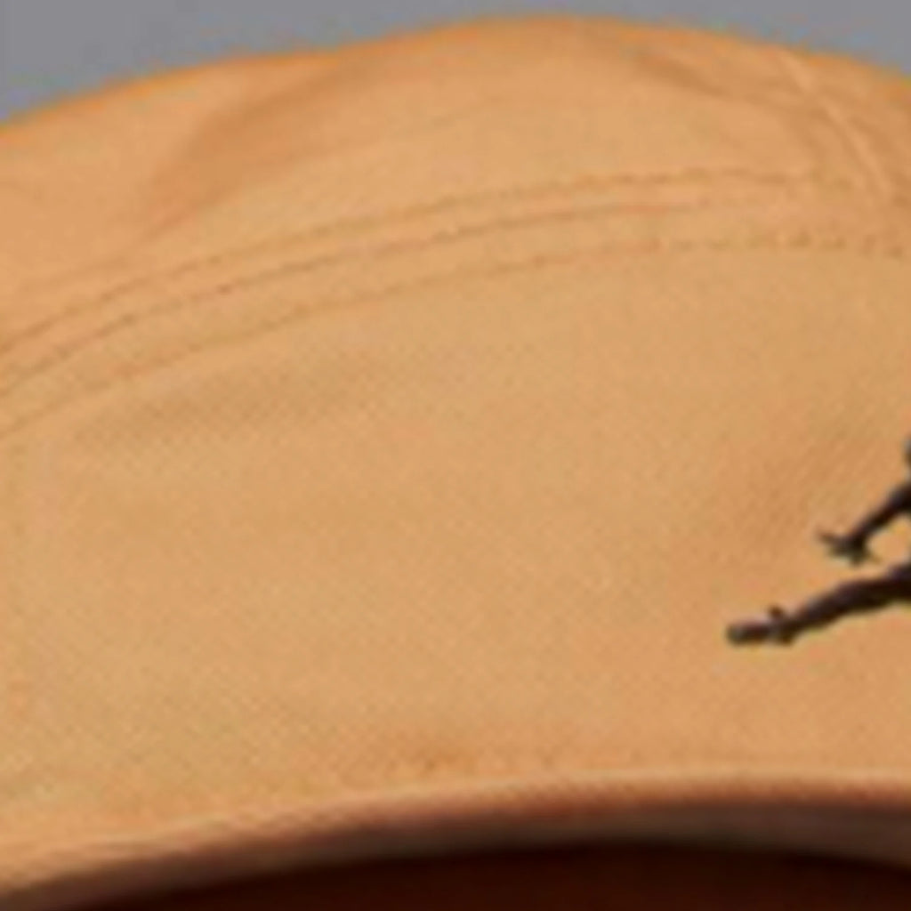 Nike Authentic JORDAN Men's and Women's Sports Sunshade Outdoor Embroidered Duck Tongue Hat FZ2050-228